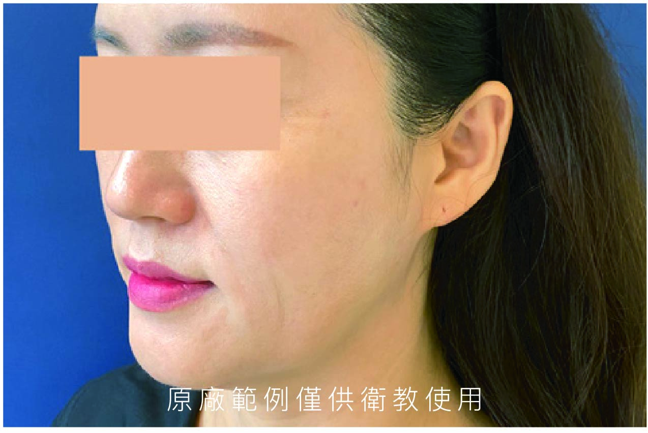 十蓓中文目錄_編輯檔-11