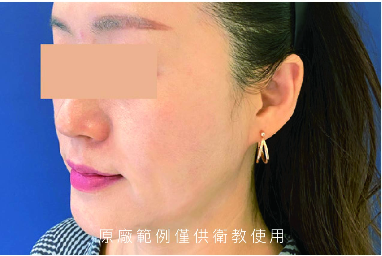 十蓓中文目錄_編輯檔-12