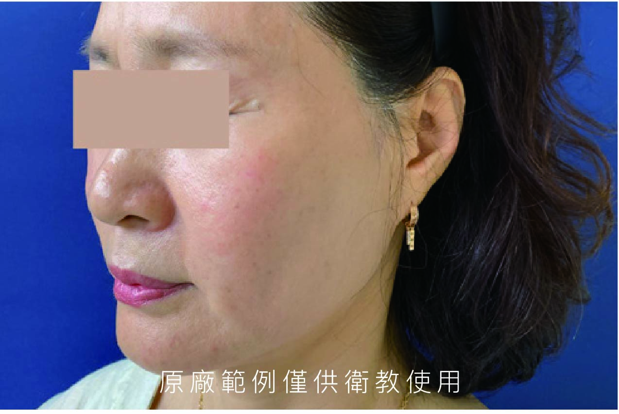 十蓓中文目錄_編輯檔-13