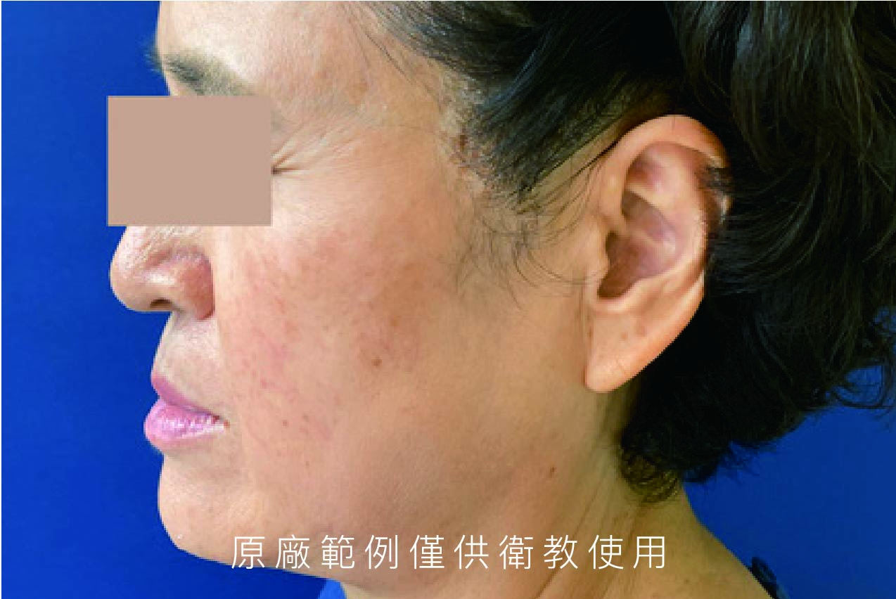 十蓓中文目錄_編輯檔-16